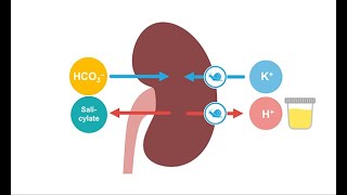 Treating acute salicylate toxicity