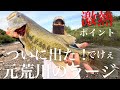 【バス釣りポイント】ついに出た！元荒川のラージ！【バス釣り】