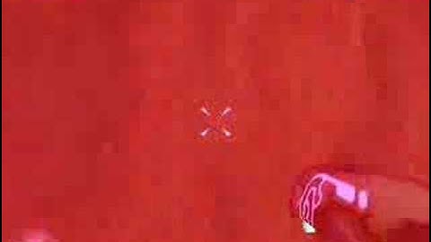 Single Player Halo CE Maps: Truth Island Part 1