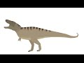 Tyrannosaurus test
