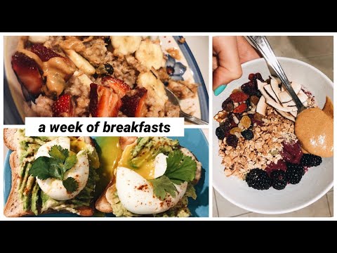 a week of breakfasts // healthy college student! *recipes in description*