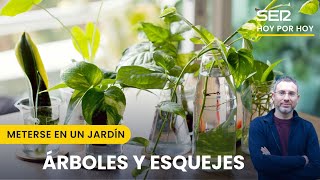 Árboles y esquejes | Meterse en un jardín, con Eduardo Barba