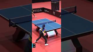 M DANIA(MAS) : WTT 여자단식(13세) 💐참피온 #tabletennis