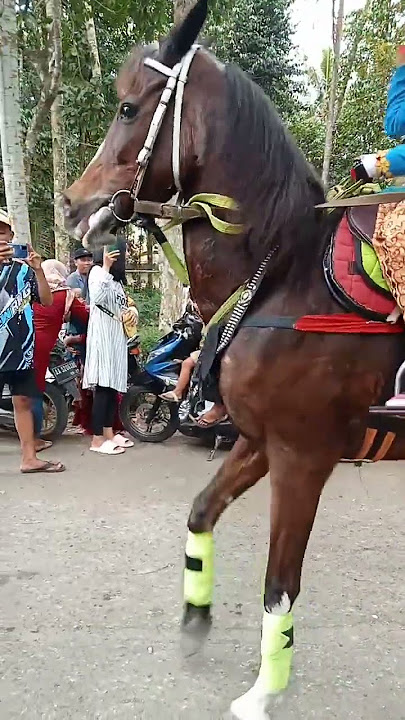 kuda joget#shorts