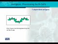 BT302 Immunology Lecture No 90