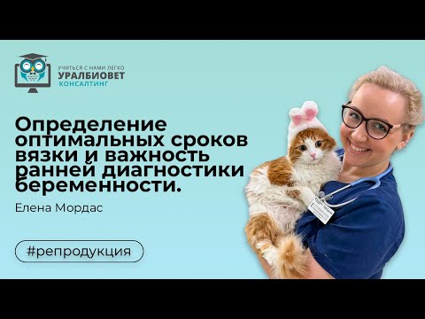 Определение оптимальных сроков вязки и важность ранней диагностики беременности. Лектор Елена Мордас