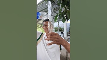 Water Bottle Magic Tricks Decoded/Trò Ảo Thuật Với Chai Nước Được Giải Mã #shorts #magic #shortvideo