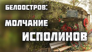 БЕЛООСТРОВ: Что скрывают подземелья разрушенного ДОТа?