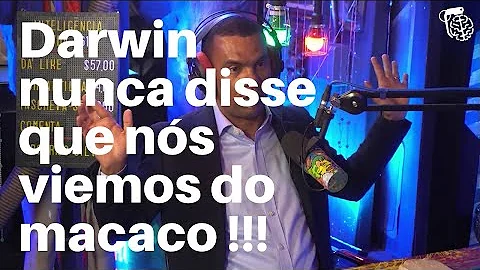O que Darwin realmente quis dizer que homens e macacos?