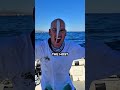 The Fish That Uses Suction Cup To Travel