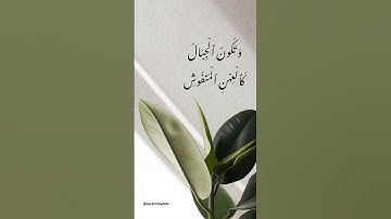 سُورَةُ اَلقَارِعَةِ - ماهر المعيقلي Surah Al Qari’ah  - Maher Almu’aiqly #quran #قرآن #تلاوة