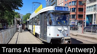 Trams At Harmonie (Antwerp)(24/06/2023)