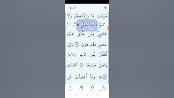 سورة طه بالتجويد المبسط الصفحة (٣١٧)