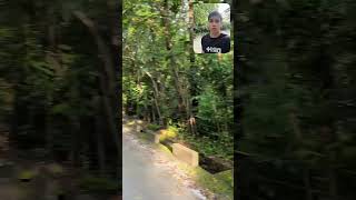Nature with Pandoy ♥️ #shorts