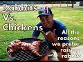 Why We Prefer Meat Rabbits Over Raising Chickens