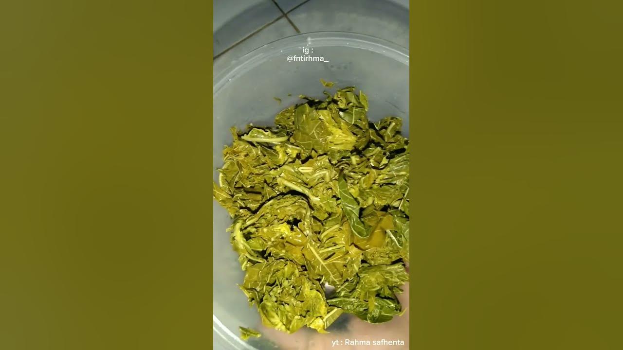 Resep Sayur Santan Daun Singkong
