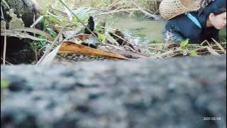 ILAU SIQ, Ken tak Kayan/cari keong kata aloq !!