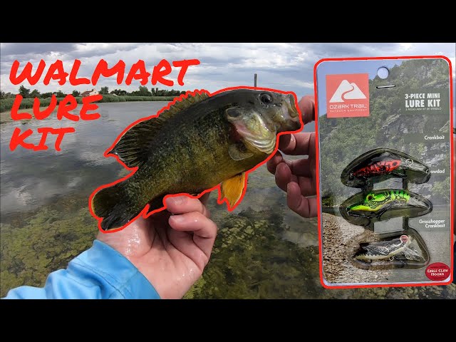 Testing $1 Walmart Micro Fishing Lures in a TINY Creek!!! (IT