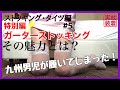 【パンスト】#5♡九州男児のパンスト履きこなしレビュー♡ガーターストッキング