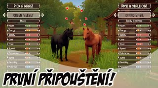 První připouštění 💞 #11 || The Ranch of Rivershine CZ