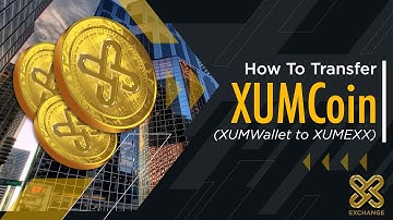 How to transfer from XUMWallet to XUMExchange