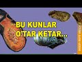 RTdan va'z: Bu kunlar o‘tar ketar…