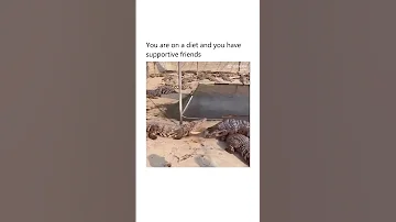 When You Are On A Diet And You Have Supportive Friends 
