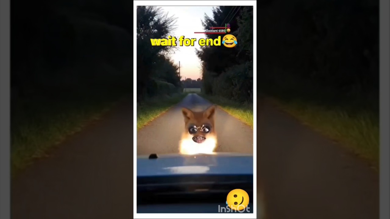 क्या बे ,,,छोरा इतनी रात में कहा जा रहा है ,,बे•••अंदरबियर ऑफिसर हूं।,, #rubab #viral #shortsviral