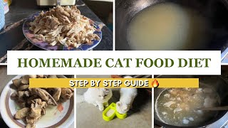 'Healthy Homemade Persian Cat Food Recipe for Weight Gain & Hairfall Control | StepbyStep Guide'