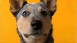 Commercial appeal to emotion