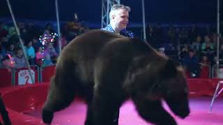 Terrifying Moment Elderly Bear Attacks Circus Trainer