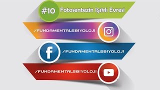 Fotosentezin Işıklı Evresi Kısa Kısa