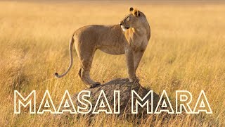 My first visit to the MAASAI MARA | A short film by The Safari Expert