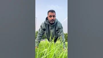 الدنيا زي المرجيحة Explore 