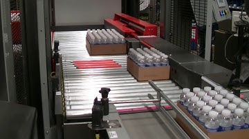 FL1000SW Floor Level Palletizer with Integrated Stretch Wrapper Stacking Bottled Water Montage
