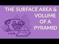 Square Pyramid Surface Area and Volume Quiz
