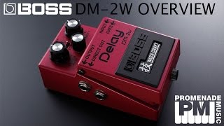 Boss DM-2W Waza Craft Delay - Overview