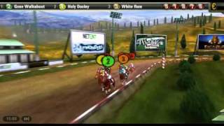 Virtual Horse Racing Game - Golden Derby screenshot 3