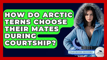 How Do Arctic Terns Choose Their Mates During Courtship? - Polar Regions Uncovered