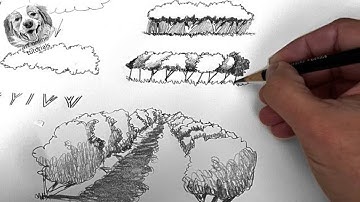 Drawing Course #4 How to draw trees with pencil for beginners