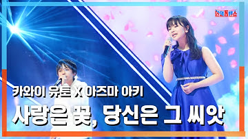 [클린버전] 아즈마 아키(東亜樹)X카와이 유토(川合結人) - 사랑은 꽃, 당신은 그 씨앗(愛は花、君はその種子)｜⚡한일톱텐쇼⚡250317