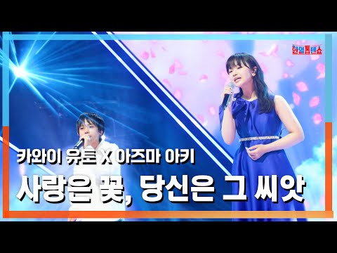 [클린버전] 아즈마 아키(東亜樹)X카와이 유토(川合結人) - 사랑은 꽃, 당신은 그 씨앗(愛は花、君はその種子)｜⚡한일톱텐쇼⚡250317