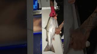 Keahlian Fillet Ikan Salmon Super Cepat | Amazing Salmon Fillet Skills 😱 #Shorts #fishfillet #salmon