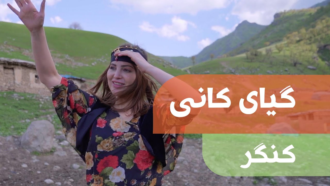 Giyayê Kanî | Kingir | گیای کانی | کنگر