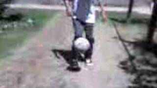 Enzo freestyle