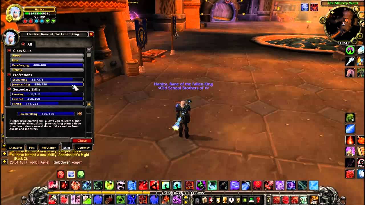 Night Elf DK (6300 gs+) - Prodej!!!