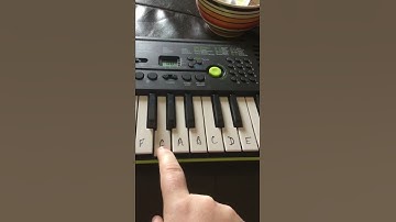 How to play the Casio Sa-46 for beginners.