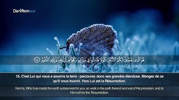 48 Sourate Al Mulk   Mishari Al Baghli  سورة الملك  مشاري البغلي