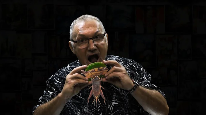 GRILLI PER LA TESTA
