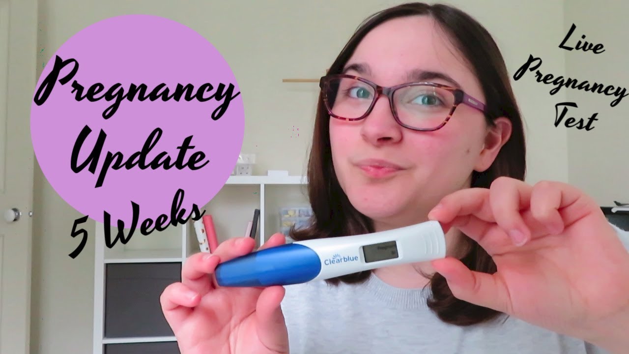Live Pregnancy Test And 5 Weeks Pregnancy Update ClearBlue Digital